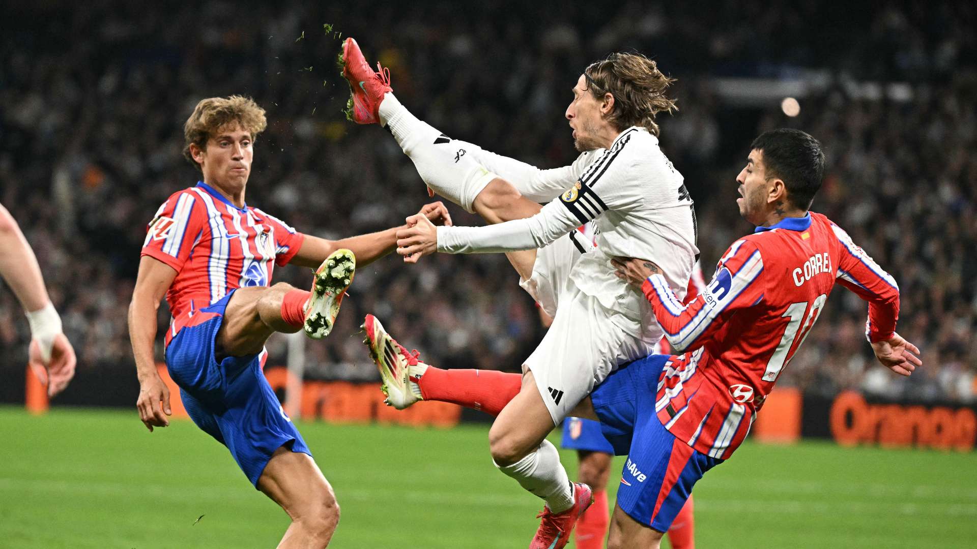 湾同胞对大 湾同胞对大